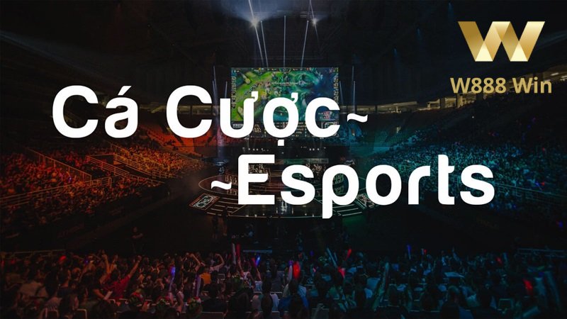 cá cược esports tại w88